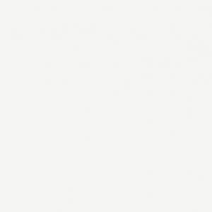  110 Whitenna Caesarstone Quartz