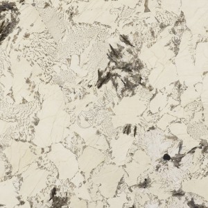  Alpinus